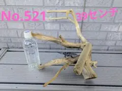 2025年最新】アク抜き済流木の人気アイテム - メルカリ