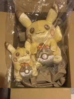 ポケモン 30周年記念 ピカピカ！ピカチュウ ぬいぐるみ マスコット 2点セット