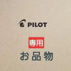 りこう♡様専用お品物　フリクション替芯