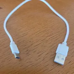 USB Type-C to USB A ケーブル 約30cm