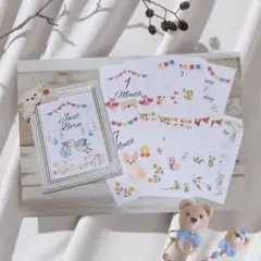 赤ちゃん写真撮影 マンスリーカード 月齢フォト クマさんの写真立て付き