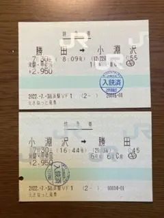 【特急券　硬券　レア２４枚】 特急券硬券レア24枚】