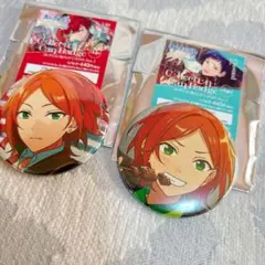 あんスタ 葵ひなた 缶バッジ