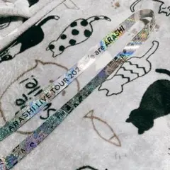 ARASHI LIVE TOUR 2026 We are ARASHI 銀テープ