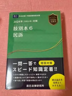 【裁断済】肢別本6 民訴　2024年