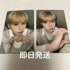 ALD1 アルノ touslesjours ケーキ トレカ