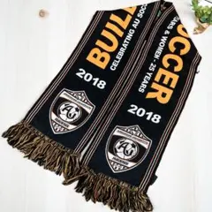 【入手困難】アンダーソン大学 レイブンズ Ravens サッカーマフラー 輸入品