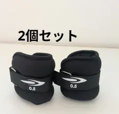 ティゴラ アンクルリストウェイト 0.5kg 2個 TIGORA