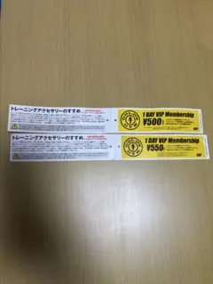 ゴールドジム 1 DAY VIP Membership チケット　2枚セットのサムネイル