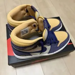Nike Air Jordan 1 GORE-TEX Purple/Yellow