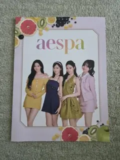 aespa 公式ブック vol.5 付録セット