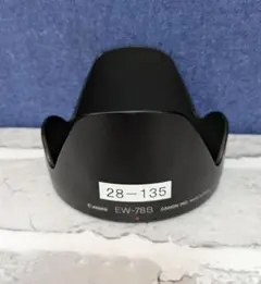 Item thumbnail for item 06f31abb-a94a-463b-92e6-c04ef151b81e