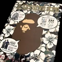 【超美品】A BATHING APE 2008年夏号　ステッカーあり　リュック✖️