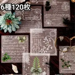 chokomacky様 リクエスト 3点 まとめ商品