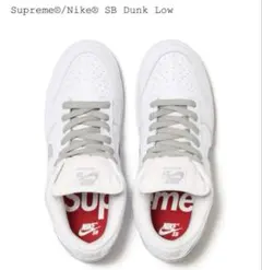 nike sb dunk low スニーカー