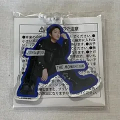 2025年最新】nct ジョンウ アクキーの人気アイテム - メルカリ