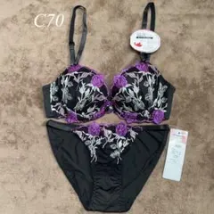 ＊C70M ブラ&ショーツセット