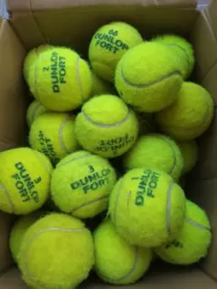 Item thumbnail for item b4e9f1b6-49a0-46b7-8947-fbd8350d233b