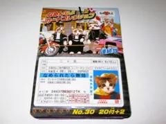 新品【なめ猫 カード 22枚】E なめんなよ なめねこ 猫 ねこ なめんなよ猫