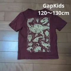 GapKids☆恐竜 化石プリント Tシャツ バーガンディのサムネイル
