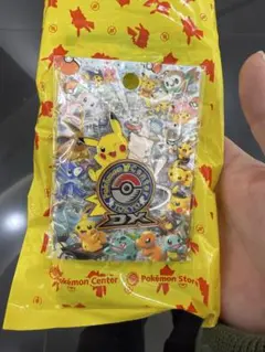 即日発送]ポケモンセンタートウキョーDX 限定 ロゴピンズ ピカチュウ