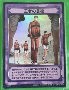 テニスの王子様TCGトレーディングカード 長すぎるタイブレーク - メルカリ