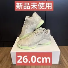NIKE レブロン 22 EP 即日発送可能 土日限定価格 - メルカリ