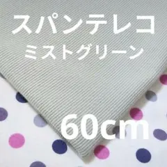 【特価】スパンテレコニット ミストグリーン 60cm⑤