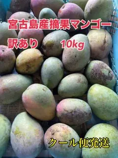 2025年最新】摘果マンゴーの人気アイテム - メルカリ