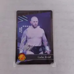 ★新品未開封！新日本プロレス ゲイブ・キッド ビッグタオル 完売品 ゲイブ・キッド スポーツタオル（2025） [新日本プロレスリング