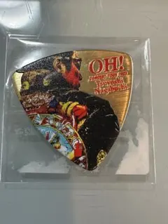 ピック ミュージシャン