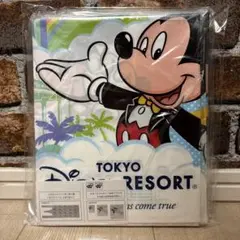 ディズニー　お土産袋　東京ディズニーリゾート　　ショップ袋　５点セット25枚入り