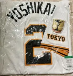 Item thumbnail for item f16218fa-e14a-4b52-a5e6-2cfe5e6a167c