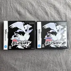 Nintendo DS ポケットモンスター ブラック