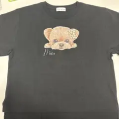 ネコイチ CoCo壱番屋 ココイチ CoCo壱 NeCo壱 Tシャツ 服 衣類 - メルカリ