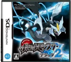 ポケットモンスター ブラック2 カセットのみ