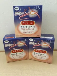めぐリズム 蒸気でグッドナイト 12枚入りのサムネイル