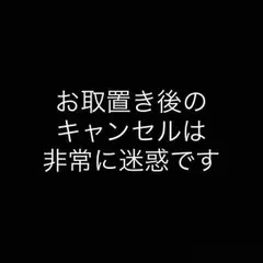 hiro様専用★香港ディズニー★ダッフィー シェリーメイ キーチェーン