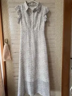 Item thumbnail for item 6c5c4091-416b-42a2-ac09-c173a6ec5920