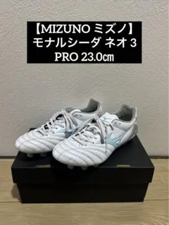 Item thumbnail for item bf8bfb7d-f599-4262-af6e-43ef09ae0e75