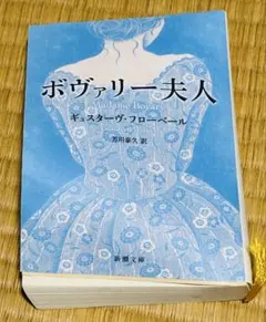 ボヴァリー夫人 ギュスターヴ・フローベール Madame Bovary 芳川泰久