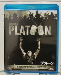 Item thumbnail for item 9c676332-ade2-43e7-88af-bc1d55fea3a0