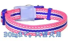 Item thumbnail for item 7753c3f7-3aeb-4107-9f6c-2efb6e974824