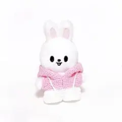 pekomaru様 リクエスト 2点 まとめ商品