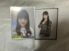 Item thumbnail for item e95b7f3b-e764-499f-a529-75334aaea8bf