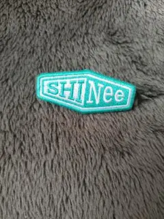 shinee　ピンバッジ