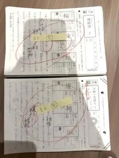 2026年最新】公文国語EⅡの人気アイテム - メルカリ