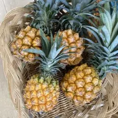 家庭用人気】小さくても甘い！スナックパイン超小玉10個 - メルカリ