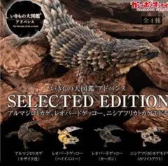 いきもの大図鑑 アドバンス アルマジロトカゲ