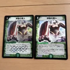 デュエルマスターズ　神秘の超人　初期2枚セット